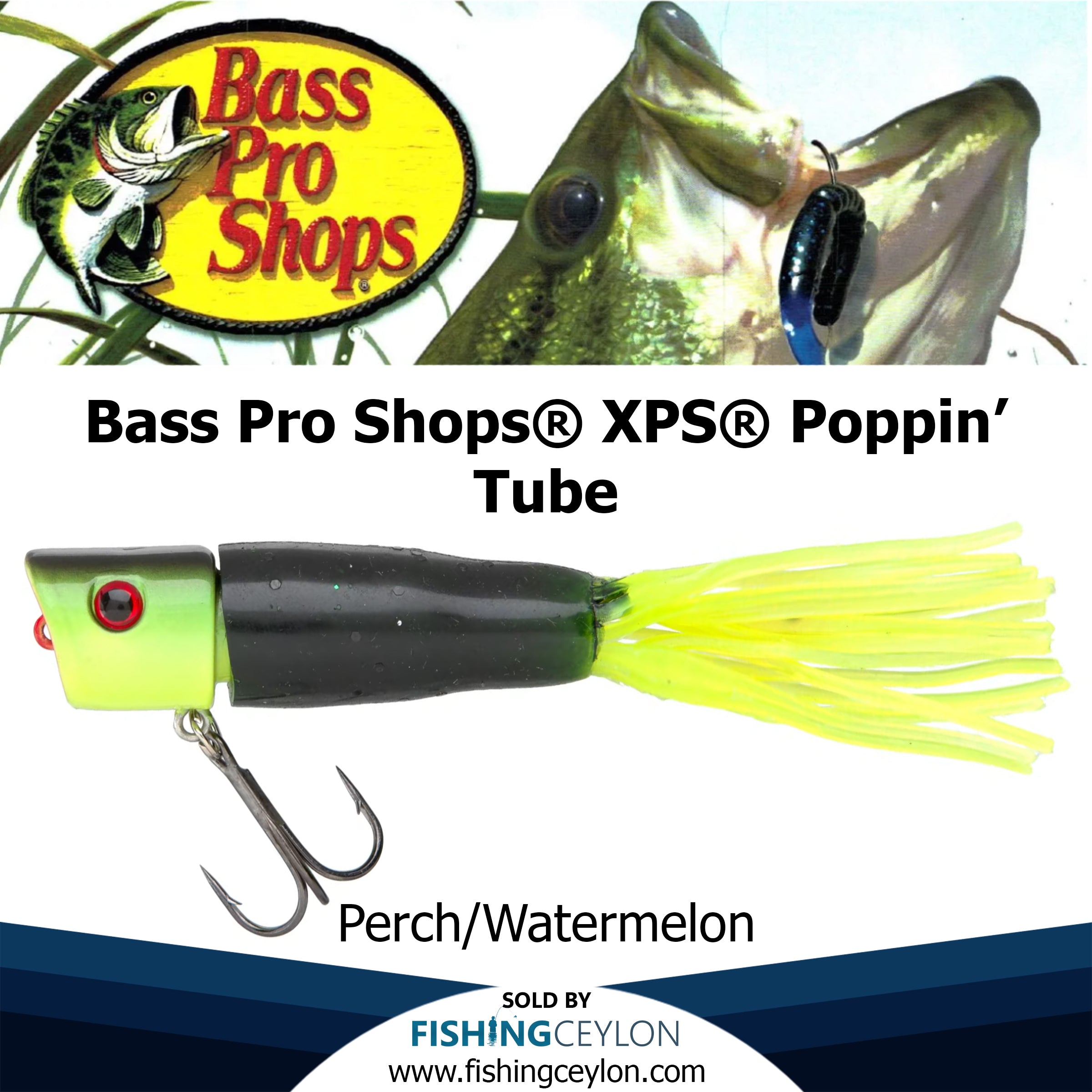 Bass Pro Shops® XPS® Poppin' Tube – Fishing Ceylon