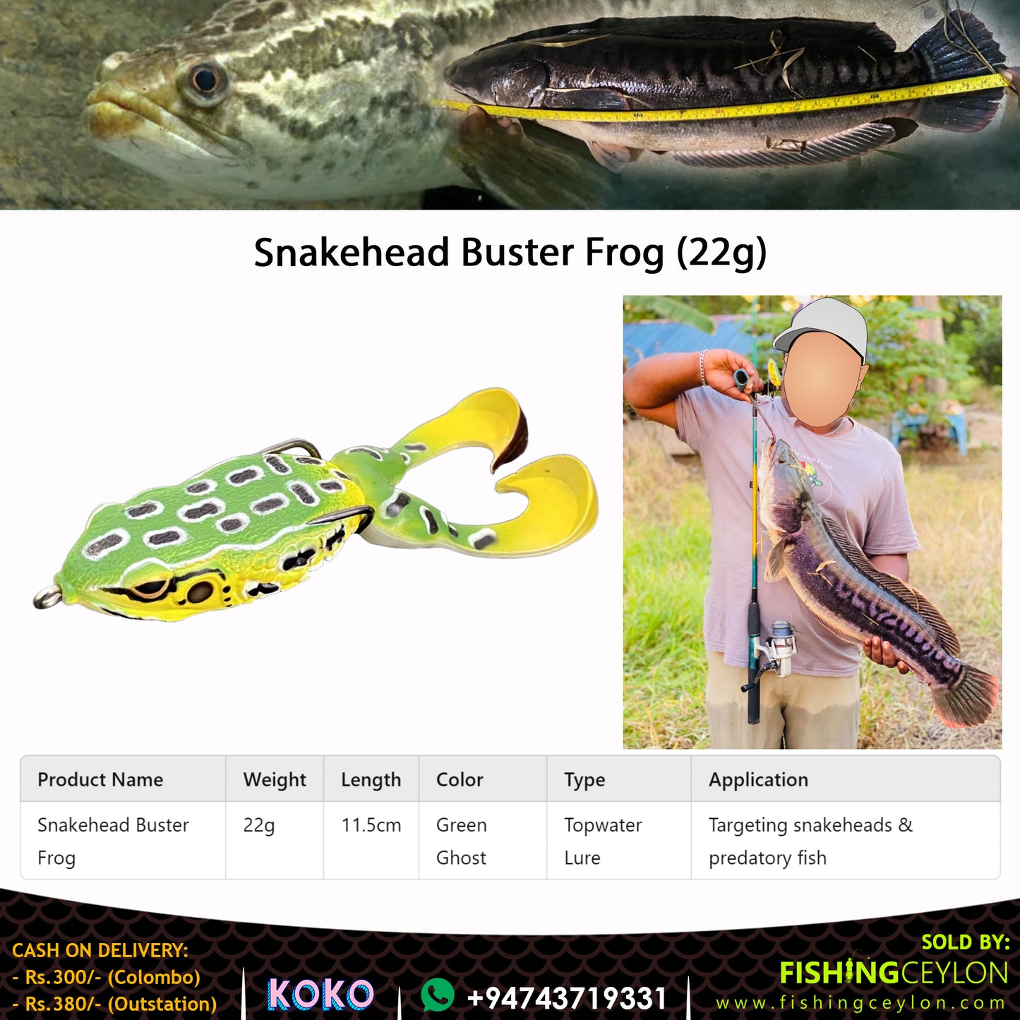 Snakehead Buster Frog (22g) - Fishing Ceylon