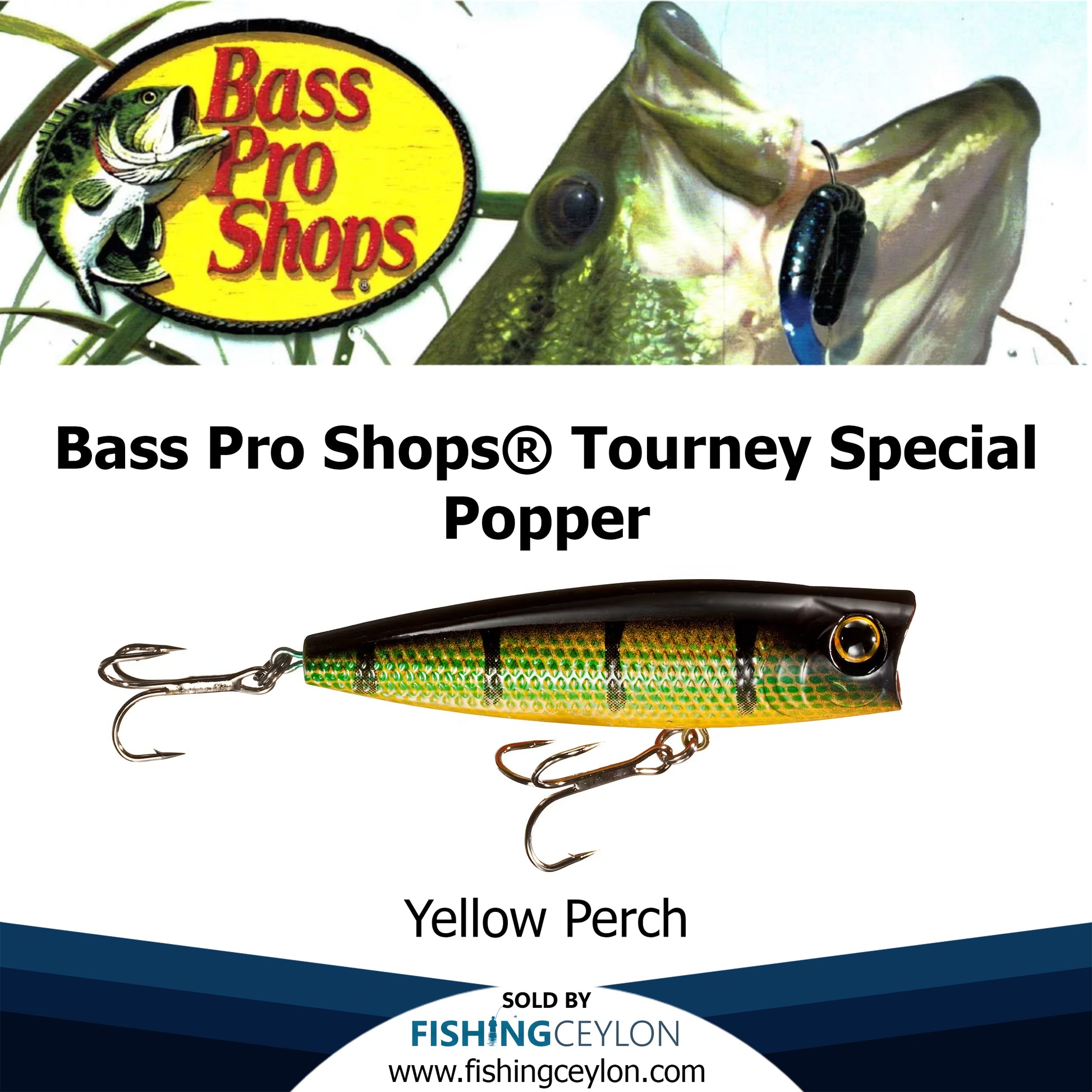 Bass Pro Shops® Tourney Special Popper