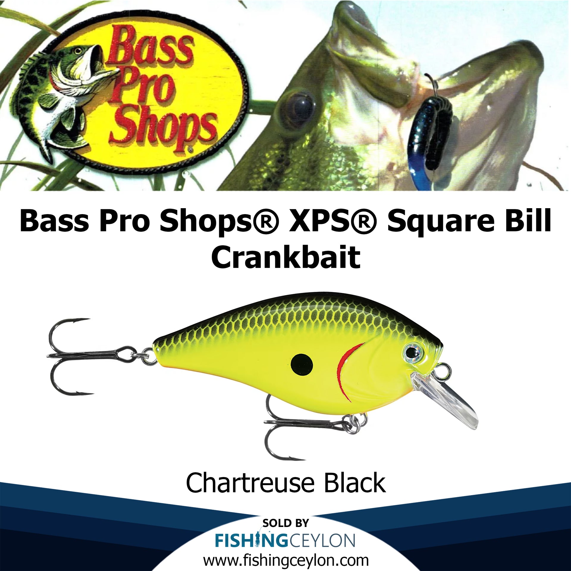 Bass Pro Shops® XPS® Square Bill Crankbait – Fishing Ceylon
