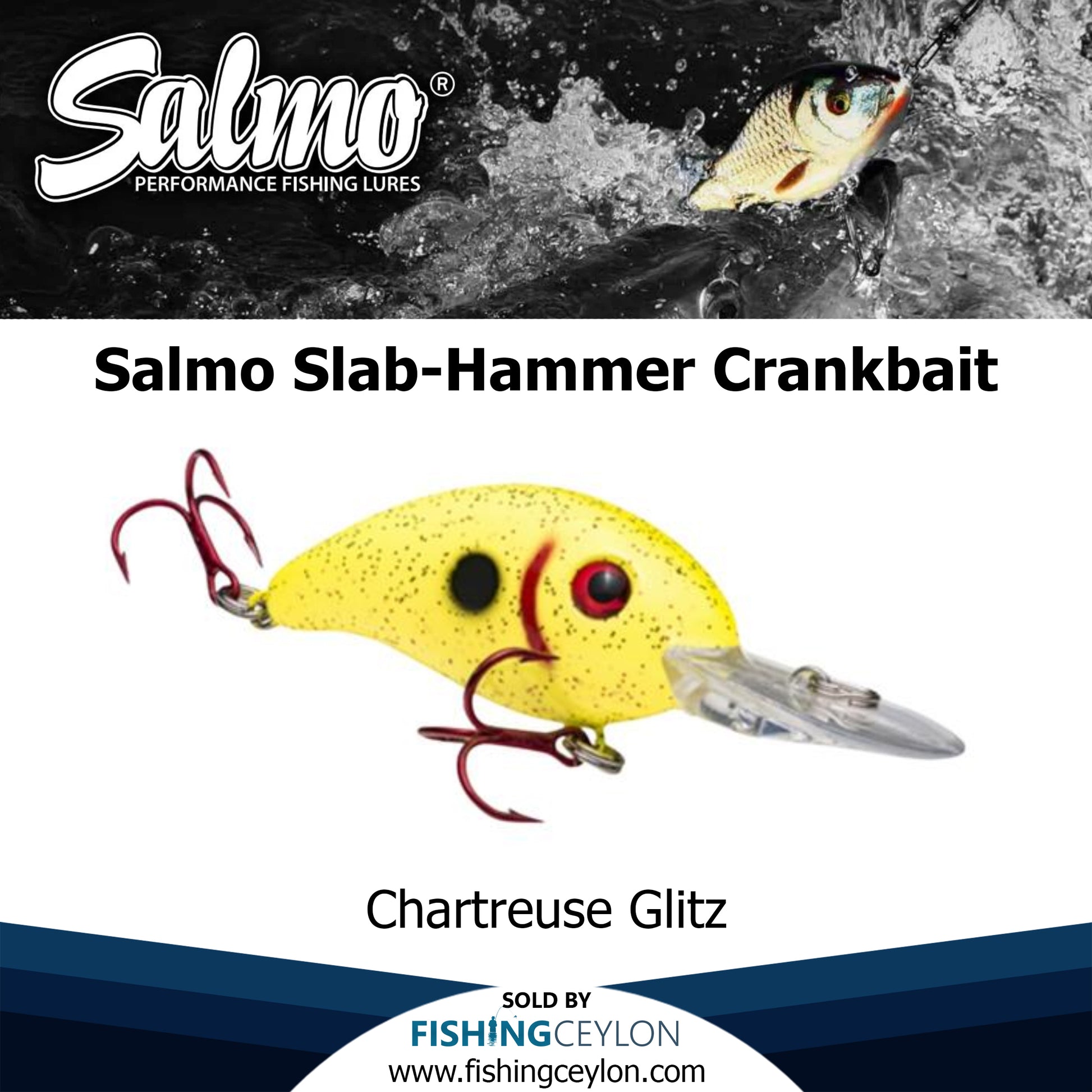 Salmo Slab-Hammer Crankbait – Fishing Ceylon