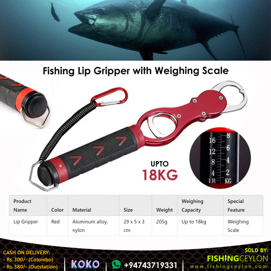 Fishing Lip Gripper with Weighing Scale - Fishing Ceylon 
