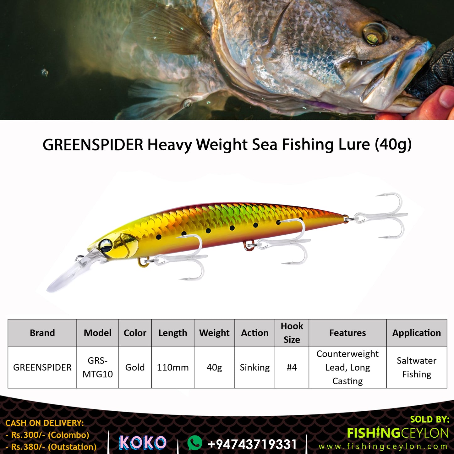 GREENSPIDER Heavy Weight Sea Fishing Lure (40g) - Fishing Ceylon 
