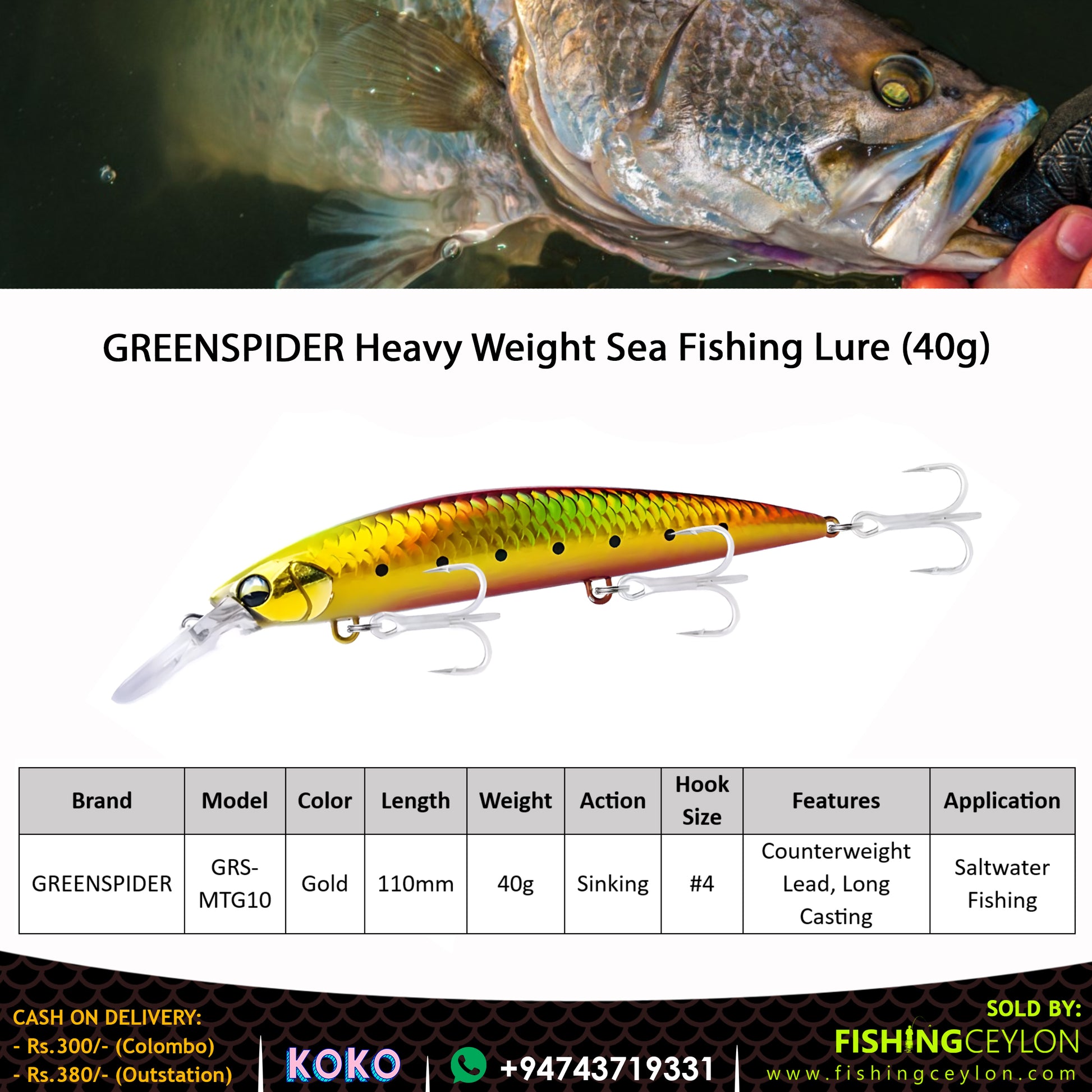 GREENSPIDER Heavy Weight Sea Fishing Lure (40g) - Fishing Ceylon 