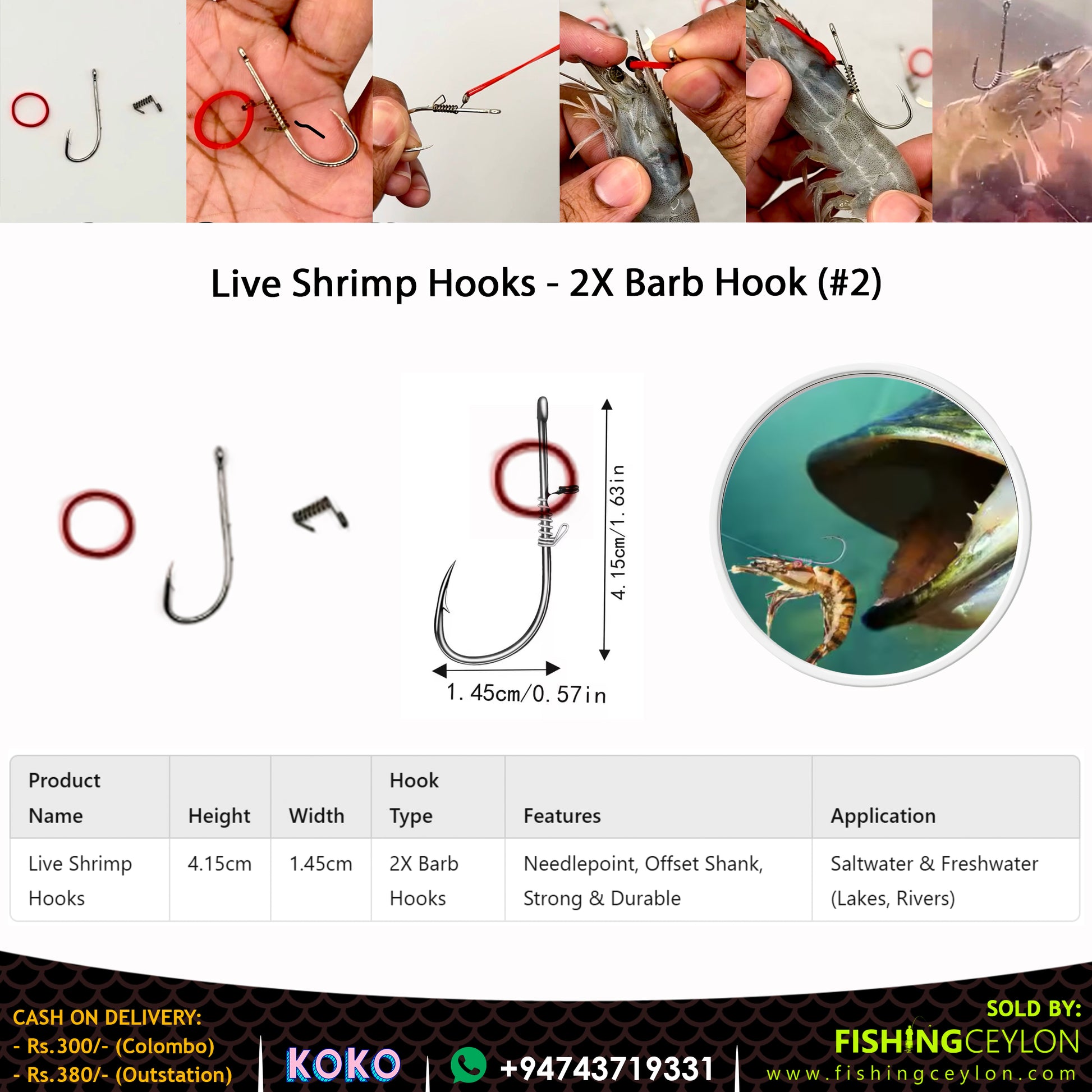 Live Shrimp Hooks - 2X Barb Hooks (#2) - Fishing Ceylon 