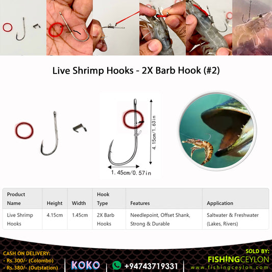 Live Shrimp Hooks - 2X Barb Hooks (#2) - Fishing Ceylon 