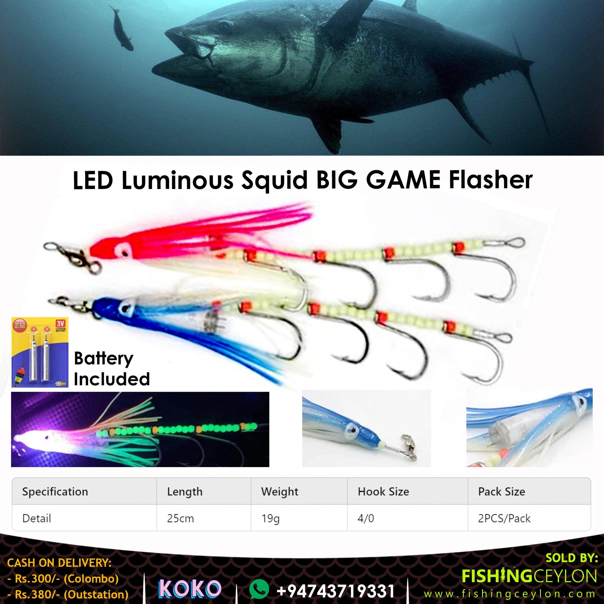 LED Luminous Squid BIG GAME Flasher - Fishing Ceylon 