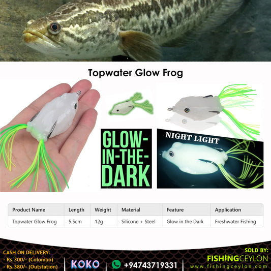 Topwater Glow Frog (12g) - Fishing Ceylon 