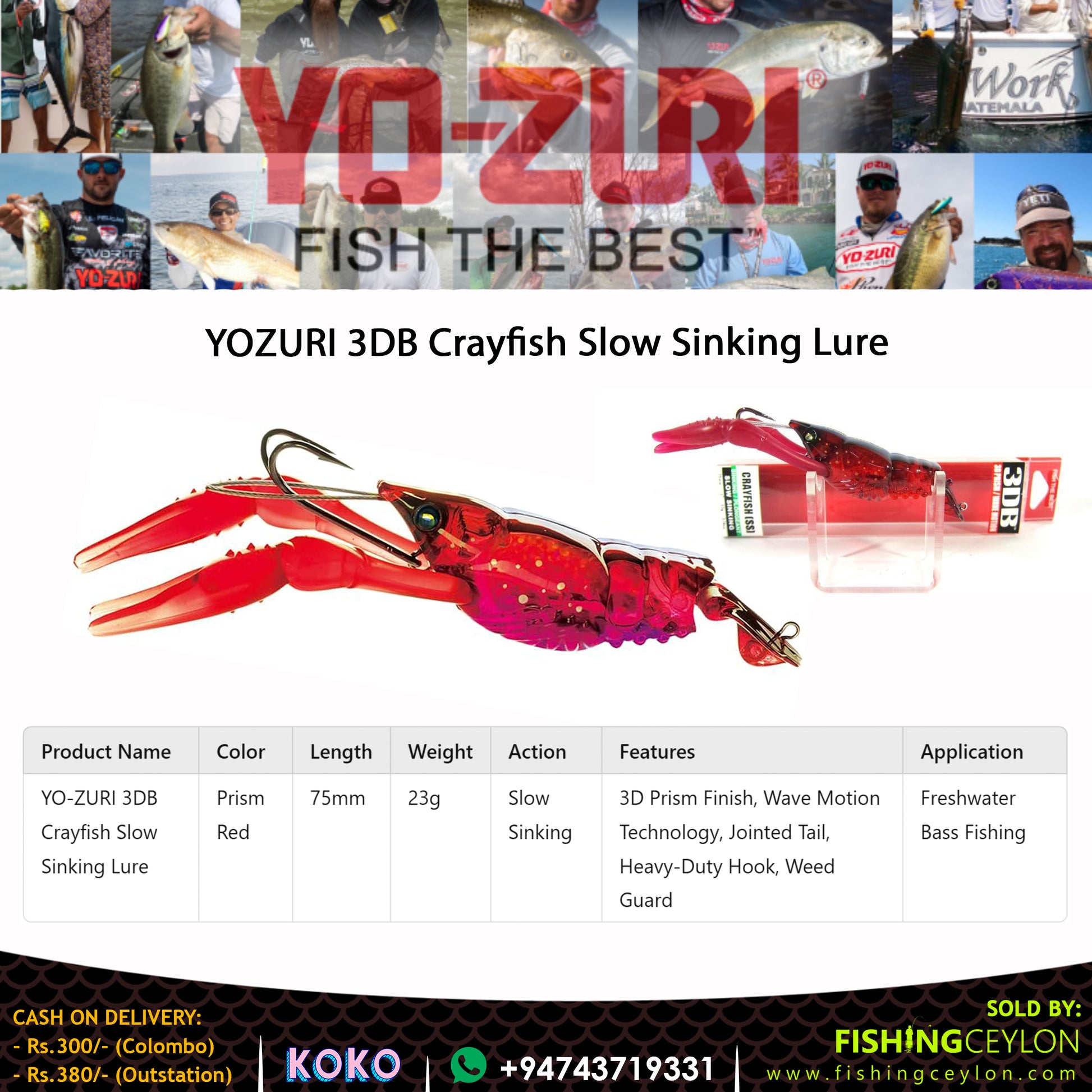 YOZURI 3DB Crayfish Slow Sinking Lure - Fishing Ceylon 