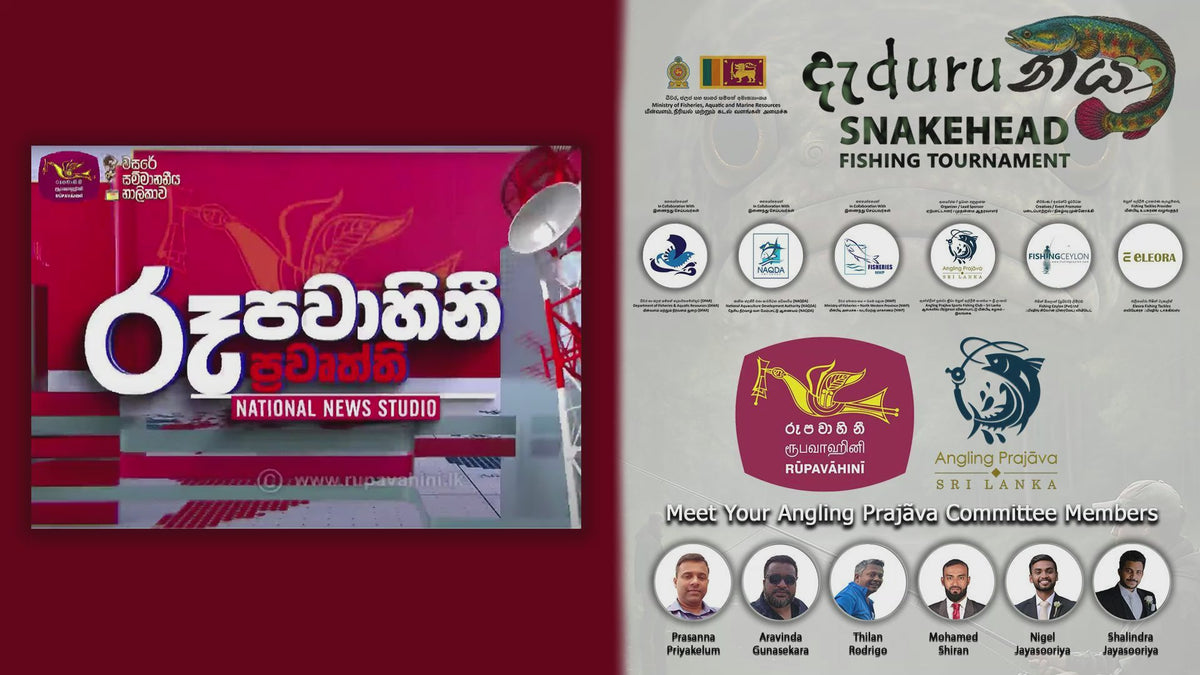 රූපවාහිනී පුවත් සඳහන් කරන්න